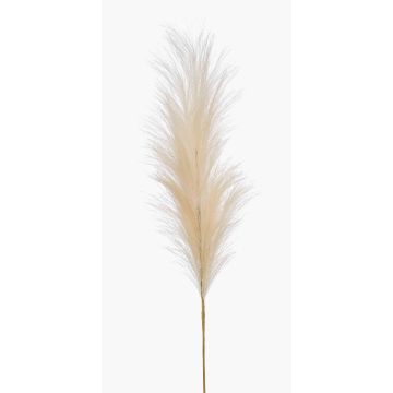 Pampas artificielle en panicule AMATSIA, crème, 115 cm