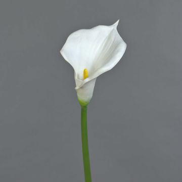 Calla artificielle DAISCHI, blanche, 70 cm, 11 x 14 cm Calla artificielle DAISCHI, blanche, 70 cm, 11 x 14 cm