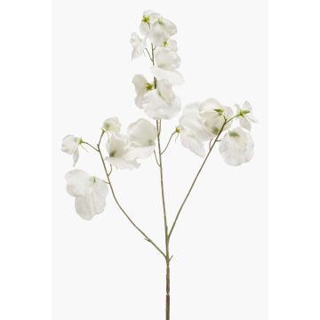 Fleur artificielle de pois de senteur KANZI, blanche, 75 cm, Ø 4-7 cm