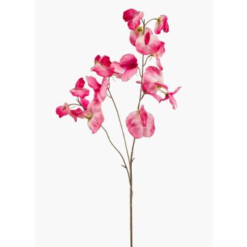 Fleur artificielle : pois de senteur KANZI, rose-crème, 75 cm, Ø 4-7 cm Fleur artificielle : pois de senteur KANZI, rose-crème, 75 cm, Ø 4-7 cm