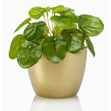 Plante succulente artificielle pilea SYBIL dans un pot en céramique doré, verte, 13cm