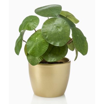 Plante succulente artificielle pilea SYBIL dans un pot en céramique doré, verte, 20cm Plante succulente artificielle pilea SYBIL dans un pot en céramique doré, verte, 20cm