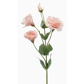 Fleur artificielle Lisianthus JENO, rose, 65 cm, Ø 7-9 cm Fleur artificielle Lisianthus JENO, rose, 65 cm, Ø 7-9 cm