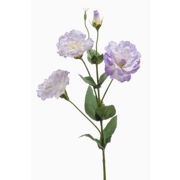 Fleur artificielle Lisianthus JENO, lilas clair-crème, 65 cm, Ø 7-9 cm Fleur artificielle Lisianthus JENO, lilas clair-crème, 65 cm, Ø 7-9 cm