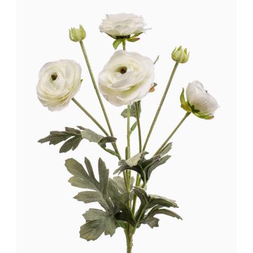 Renoncule artificielle HIBBA, crème, 65cm, Ø5-7cm Renoncule artificielle HIBBA, crème, 65cm, Ø5-7cm