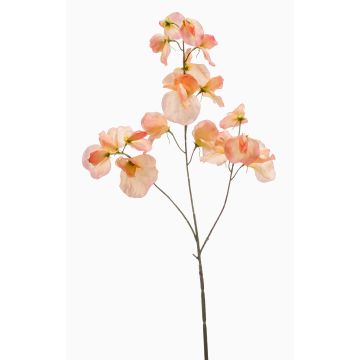 Fleur artificielle « pois de senteur » KANZI, couleur pêche, 75 cm, Ø 4-7 cm Fleur artificielle « pois de senteur » KANZI, couleur pêche, 75 cm, Ø 4-7 cm
