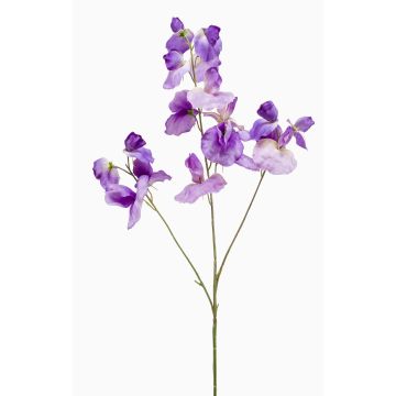 Fleur artificielle « pois de senteur » KANZI, violet, 75 cm, Ø 4-7 cm Fleur artificielle « pois de senteur » KANZI, violet, 75 cm, Ø 4-7 cm