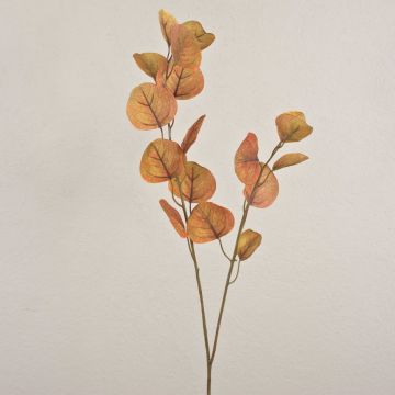 Branche d'eucalyptus artificielle SOPONG, marron, 80 cm Branche d'eucalyptus artificielle SOPONG, marron, 80 cm