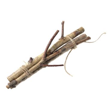 Branches de bouleau TORSTEN en botte, 3 pièces, naturel, 30cm