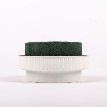 ®mosy Coupelle ronde ONORATA en mousse florale humide pour compositions florales, vert et blanc, 5,5 cm, Ø 10 cm ®mosy Coupelle ronde ONORATA en mousse florale humide pour compositions florales, vert et blanc, 5,5 cm, Ø 10 cm