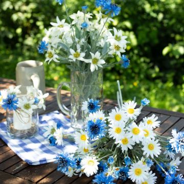 Fête de la bière (Oktoberfest) - O'zapft is