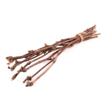 Branches de vigne RAGGA en botte, 10 pièces, naturel, 60cm