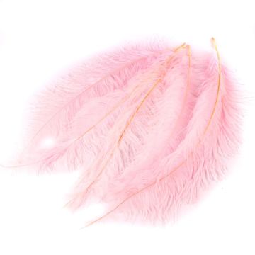 Plumes d'autruche décoratives PIPPIN, 5 pièces, rose pâle, 55-70cm