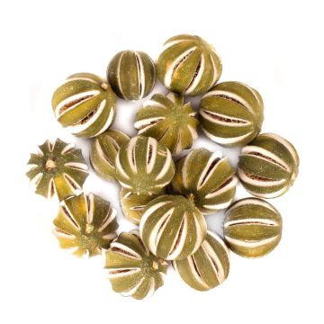Fruits secs décoratifs Citrons verts SIEGLINDE, incisés, vert, Ø4-5cm, 250g Fruits secs décoratifs Citrons verts SIEGLINDE, incisés, vert, Ø4-5cm, 250g