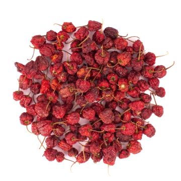 Fruits secs décoratifs Piments ronds ANNELIESE, rouge, Ø1-3cm, 200g