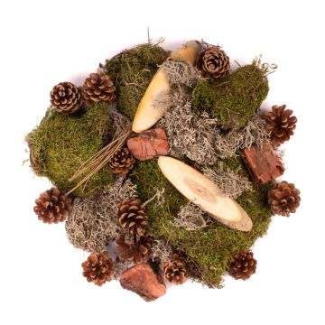 Décoration naturelle à saupoudrer QUIKISA en mousse, pommes de pin, bois, lichen, vert-brun, 500g
