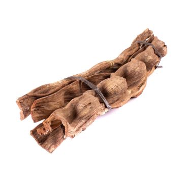 Botte de morceaux de liane séchée Cipo Escada NALLESTE, 5 pièces, naturel, 60cm