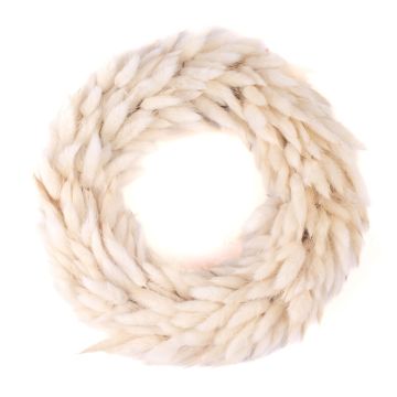 Herbe séchée Lagurus Couronne RIKARDA, crème, Ø25cm