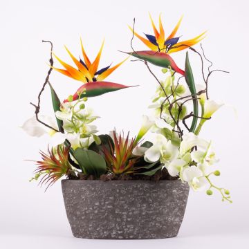 Arrangement de fleurs décoratif exotiques LOVARA, strelitzia, orchidée, calla, orange-blanc-vert, 55x30x60cm Arrangement de fleurs décoratif exotiques LOVARA, strelitzia, orchidée, calla, orange-blanc-vert, 55x30x60cm
