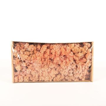 Mousse d'Islande naturelle SVEINBJÖRN, rose, 500g