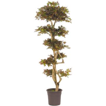 Arbre artificiel Érable du Japon SLAWIK, tronc en bois véritable, vert-rouge, 185cm - Made in Italy Arbre artificiel Érable du Japon SLAWIK, tronc en bois véritable, vert-rouge, 185cm - Made in Italy