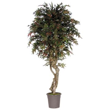 Faux érable du Japon KYRYLO, tronc en bois véritable, vert-rouge, 200cm - Made in Italy Faux érable du Japon KYRYLO, tronc en bois véritable, vert-rouge, 200cm - Made in Italy