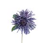 Leucospermum Protea décoratif ISLARTINA, lilas foncé, 75cm