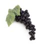 Raisins décoratifs CANDELA, bleu, 30cm, Ø10cm