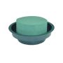 OASIS Ideal Mousse à piquer humide Cylindre LOVRO dans une coupe en plastique, vert, 5cm, Ø12cm