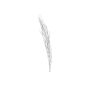 Décoration naturelle Branche de galho buriti TAISIJA, blanc, 150cm
