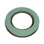 OASIS Mousse à piquer humide Couronne RUDIN, mousse solide Pulit, pour des fleurs séchées / fraîches, coupe en papier recyclé Biolit, vert, 5,5cm, Ø39cm