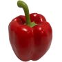 Légume décoratif Poivron REKLA, rouge, 8cm, Ø7,5cm