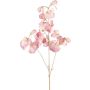 Branche artificielle Lathyrus latifolius SLIRKEN, rose clair, 75cm