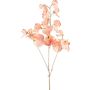 Branche artificielle Lathyrus latifolius SLIRKEN, abricot, 75cm