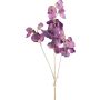 Branche artificielle Lathyrus latifolius SLIRKEN, lilas foncé, 75cm