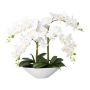 Orchidée Phalaenopsis artificielle KENTOL, coupe en céramique, racines, blanc, 55cm