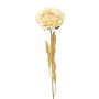Fleur artificielle Pivoine MASNOR, aspect sec, crème, 65cm
