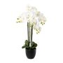 Orchidée Phalaenopsis décorative UKERNA dans un cache-pot en résine, blanc, 85cm