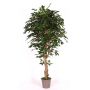Ficus Benjamina en mousse synthétique YANEXY, troncs naturels, vert, 200cm - Made in Italy