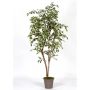 Ficus Benjamina artificiel LISEROSE, troncs en bois véritable, vert-blanc, 210cm - Made in Italy