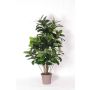 Caoutchouc décoratif LAURINTU, troncs naturels, vert, 150cm - Made in Italy