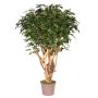 Ficus Benjamina en plastique MICHELE, tronc en bois véritable, vert, 200cm - Made in Italy