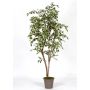 Ficus Benjamina artificiel LISEROSE, troncs en bois véritable, vert-blanc, 180cm - Made in Italy