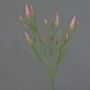 Branche artificielle Trèfle EUTIN avec des fleurs, vieux rose-vert, 80cm