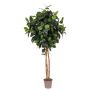 Caoutchouc décoratif LENELOTTE, troncs naturels, vert, 225cm - Made in Italy