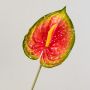 Anthurium artificiel JASMINA, vert et rouge, 75cm, 14x18cm