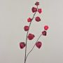 Branche décorative de physalis MARCY, fruits, bordeaux, 95cm