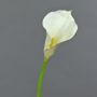 Fleur artificielle Calla TERESA, crème, 70cm, 10x18cm