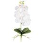 Orchidée Phalaenopsis artificielle DRINTOR, piquet, racines, blanc, 40cm