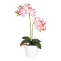 Orchidée Phalaenopsis artificielle FRUXO, piquet, racines, rose, 50cm